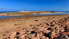 Low tide dry